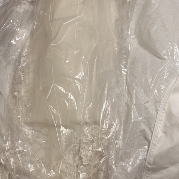 Wedding - Picture 3 of 12